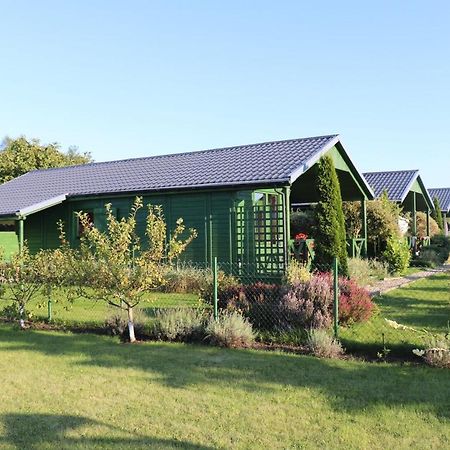 Domki Green Grzybowo Grzybowo  Buitenkant foto