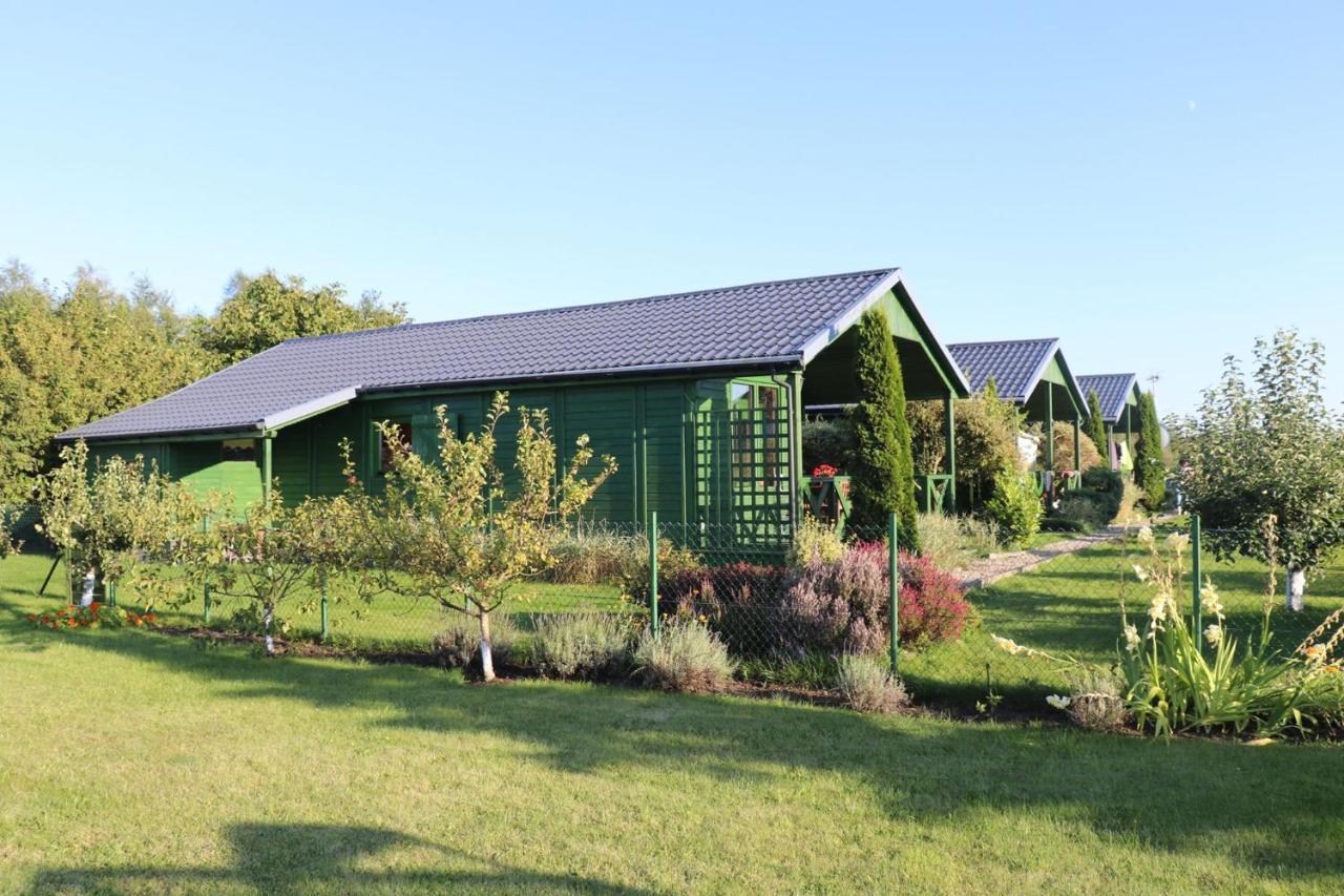 Domki Green Grzybowo Grzybowo  Buitenkant foto